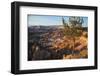 Bryce Canyon National Park, Utah, United States of America, North America-Ethel Davies-Framed Photographic Print