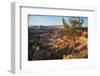 Bryce Canyon National Park, Utah, United States of America, North America-Ethel Davies-Framed Photographic Print