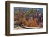 Bryce Canyon National Park, Utah, United States of America, North America-Ethel Davies-Framed Photographic Print