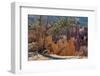 Bryce Canyon National Park, Utah, United States of America, North America-Ethel Davies-Framed Photographic Print