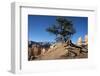 Bryce Canyon National Park, Utah, United States of America, North America-Ethel Davies-Framed Photographic Print