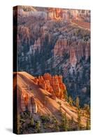 Bryce Canyon National Park, Utah, United States of America, North America-Michael DeFreitas-Stretched Canvas