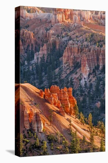 Bryce Canyon National Park, Utah, United States of America, North America-Michael DeFreitas-Stretched Canvas
