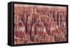 Bryce Canyon National Park Utah, United States of America, North America-Michael DeFreitas-Framed Stretched Canvas