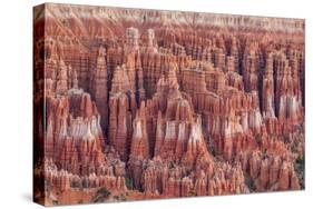 Bryce Canyon National Park Utah, United States of America, North America-Michael DeFreitas-Stretched Canvas