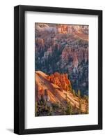 Bryce Canyon National Park, Utah, United States of America, North America-Michael DeFreitas-Framed Photographic Print