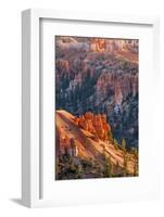 Bryce Canyon National Park, Utah, United States of America, North America-Michael DeFreitas-Framed Photographic Print