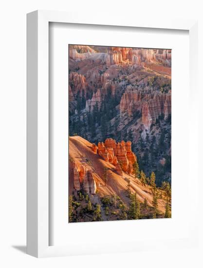 Bryce Canyon National Park, Utah, United States of America, North America-Michael DeFreitas-Framed Photographic Print