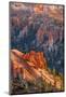 Bryce Canyon National Park, Utah, United States of America, North America-Michael DeFreitas-Mounted Photographic Print