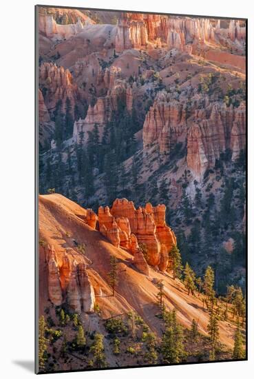 Bryce Canyon National Park, Utah, United States of America, North America-Michael DeFreitas-Mounted Photographic Print