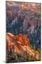 Bryce Canyon National Park, Utah, United States of America, North America-Michael DeFreitas-Mounted Photographic Print