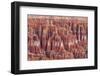 Bryce Canyon National Park Utah, United States of America, North America-Michael DeFreitas-Framed Photographic Print