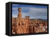 Bryce Canyon National Park, Utah, USA-Thorsten Milse-Framed Stretched Canvas