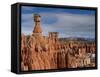 Bryce Canyon National Park, Utah, USA-Thorsten Milse-Framed Stretched Canvas