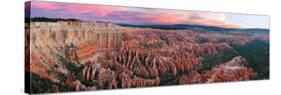 Bryce Canyon National Park, Utah, USA-Michele Falzone-Stretched Canvas