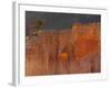 Bryce Canyon National Park, Utah, USA-Cathy & Gordon Illg-Framed Photographic Print