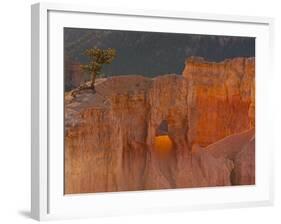 Bryce Canyon National Park, Utah, USA-Cathy & Gordon Illg-Framed Photographic Print