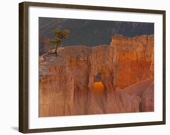 Bryce Canyon National Park, Utah, USA-Cathy & Gordon Illg-Framed Photographic Print