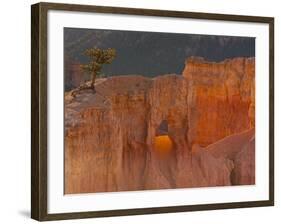 Bryce Canyon National Park, Utah, USA-Cathy & Gordon Illg-Framed Photographic Print