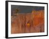 Bryce Canyon National Park, Utah, USA-Cathy & Gordon Illg-Framed Photographic Print