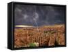 Bryce Canyon National Park, Utah, USA-Dave Welling-Framed Stretched Canvas