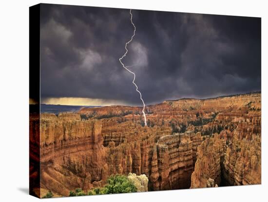 Bryce Canyon National Park, Utah, USA-Dave Welling-Stretched Canvas