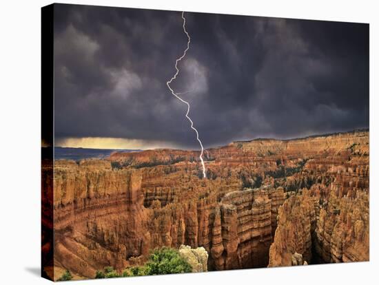 Bryce Canyon National Park, Utah, USA-Dave Welling-Stretched Canvas