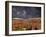 Bryce Canyon National Park, Utah, USA-Dave Welling-Framed Premium Photographic Print