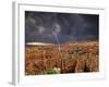 Bryce Canyon National Park, Utah, USA-Dave Welling-Framed Photographic Print