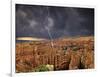 Bryce Canyon National Park, Utah, USA-Dave Welling-Framed Photographic Print