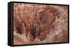 Bryce Canyon National Park, Utah. USA-Stefano Amantini-Framed Stretched Canvas