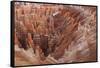 Bryce Canyon National Park, Utah. USA-Stefano Amantini-Framed Stretched Canvas