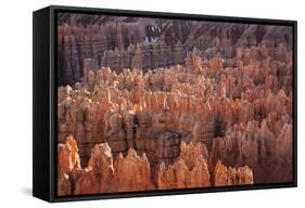 Bryce Canyon National Park, Utah. USA-Stefano Amantini-Framed Stretched Canvas