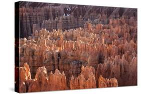 Bryce Canyon National Park, Utah. USA-Stefano Amantini-Stretched Canvas