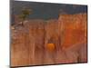 Bryce Canyon National Park, Utah, USA-Cathy & Gordon Illg-Mounted Photographic Print