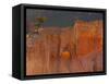 Bryce Canyon National Park, Utah, USA-Cathy & Gordon Illg-Framed Stretched Canvas