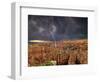 Bryce Canyon National Park, Utah, USA-Dave Welling-Framed Photographic Print