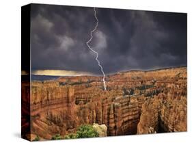 Bryce Canyon National Park, Utah, USA-Dave Welling-Stretched Canvas