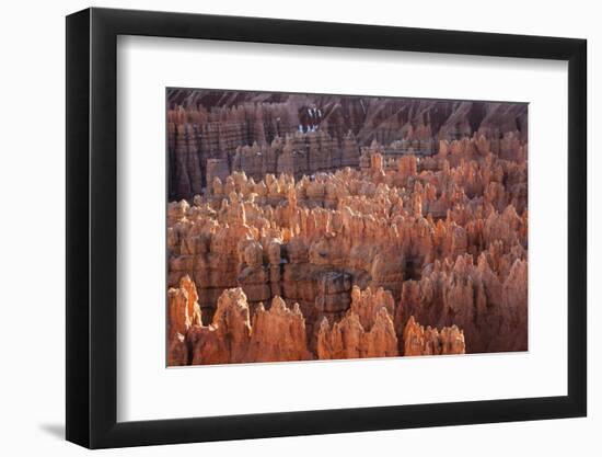 Bryce Canyon National Park, Utah. USA-Stefano Amantini-Framed Photographic Print