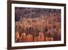 Bryce Canyon National Park, Utah. USA-Stefano Amantini-Framed Photographic Print