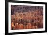 Bryce Canyon National Park, Utah. USA-Stefano Amantini-Framed Photographic Print