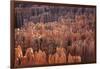 Bryce Canyon National Park, Utah. USA-Stefano Amantini-Framed Photographic Print