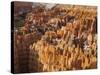 Bryce Canyon National Park, Utah, Usa-Rainer Mirau-Stretched Canvas