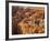 Bryce Canyon National Park, Utah, Usa-Rainer Mirau-Framed Photographic Print