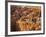 Bryce Canyon National Park, Utah, Usa-Rainer Mirau-Framed Photographic Print