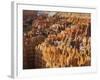 Bryce Canyon National Park, Utah, Usa-Rainer Mirau-Framed Photographic Print