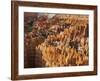Bryce Canyon National Park, Utah, Usa-Rainer Mirau-Framed Photographic Print