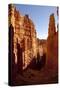 Bryce Canyon National Park, Utah-Paul Souders-Stretched Canvas