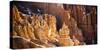 Bryce Canyon National Park, Utah-Lindsay Daniels-Stretched Canvas