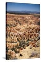 Bryce Canyon National Park, Utah-Paul Souders-Stretched Canvas